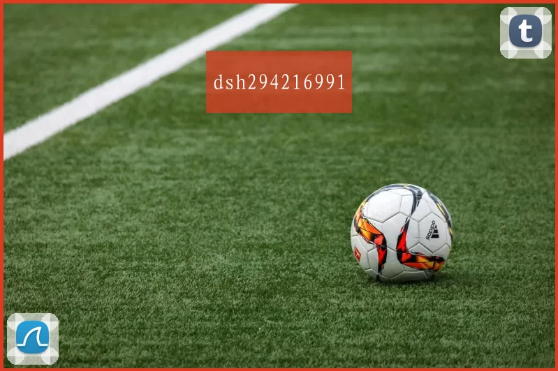 dsh294216991