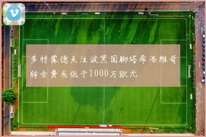 多特蒙德关注波黑国脚塔希洛维奇转会费或低于1000万欧元