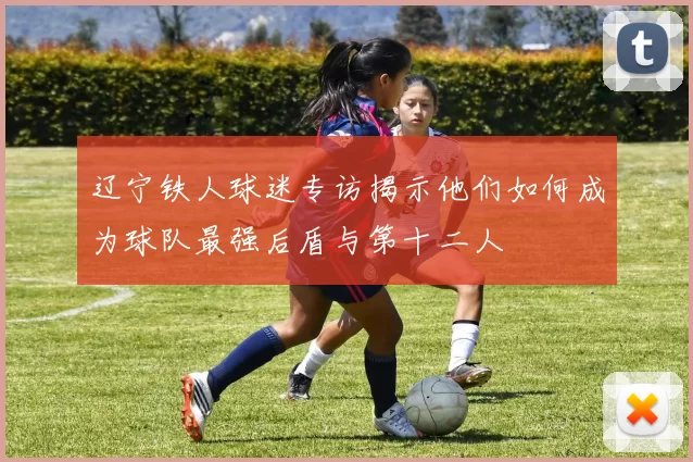 辽宁铁人球迷专访揭示他们如何成为球队最强后盾与第十二人