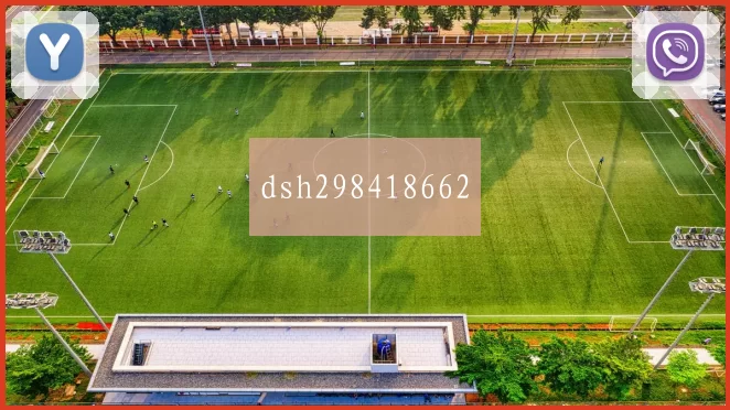 dsh298418662