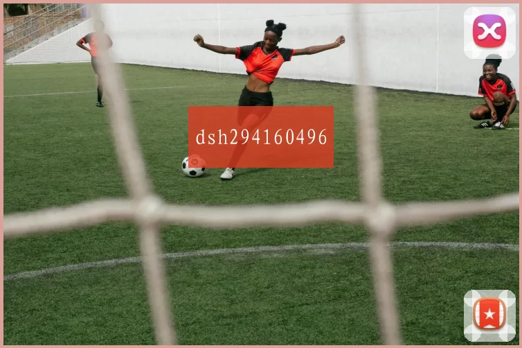 dsh294160496